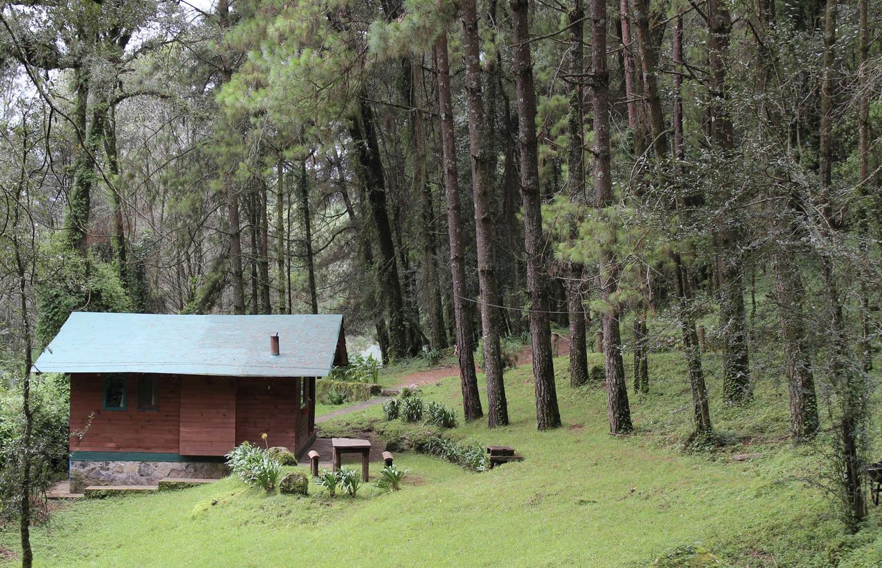 Cabanas Alpinas Lopez Fontes فالي دي برافو المظهر الخارجي الصورة